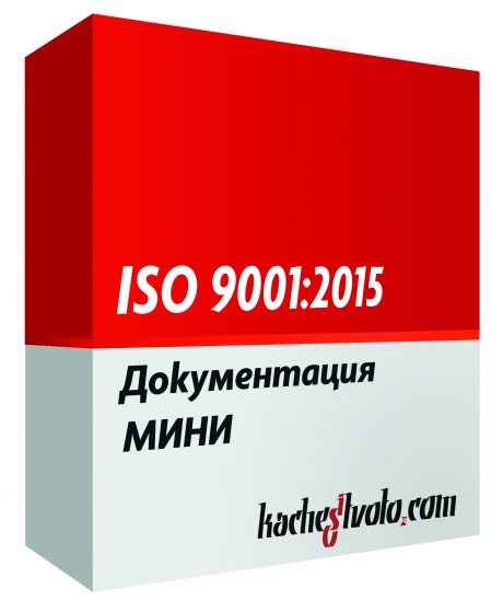 ISO 9001 МИНИ