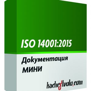 ISO 14001 МИНИ